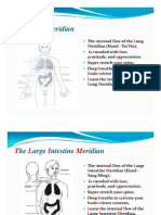 12 Meridians