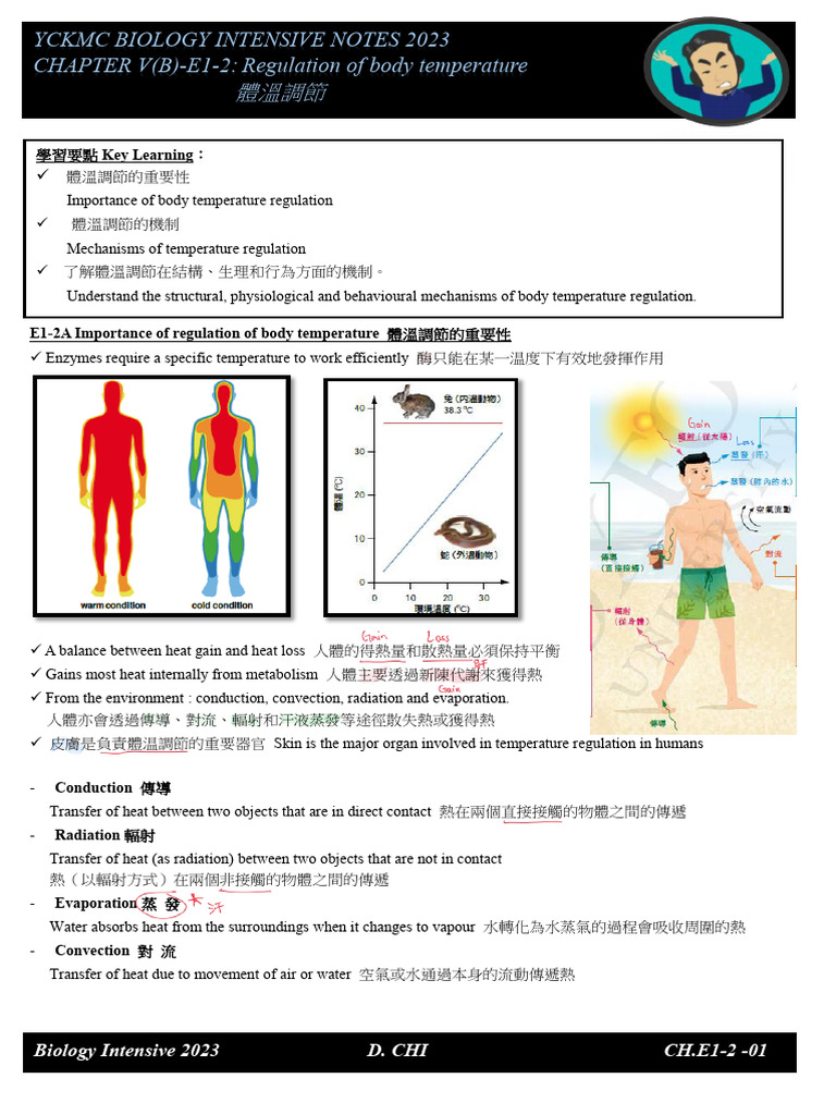 Body Temperature Regulation Mechanisms | PDF | Thermoregulation | Heat ...