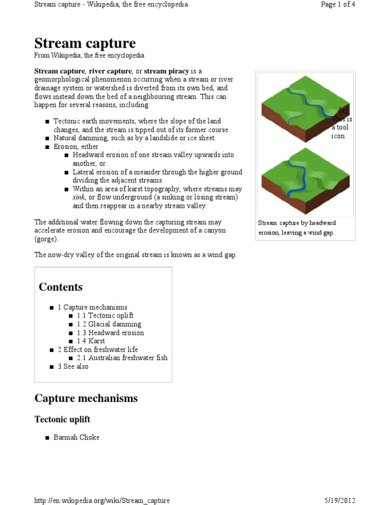 Stream Capture | PDF | Stream | Erosion