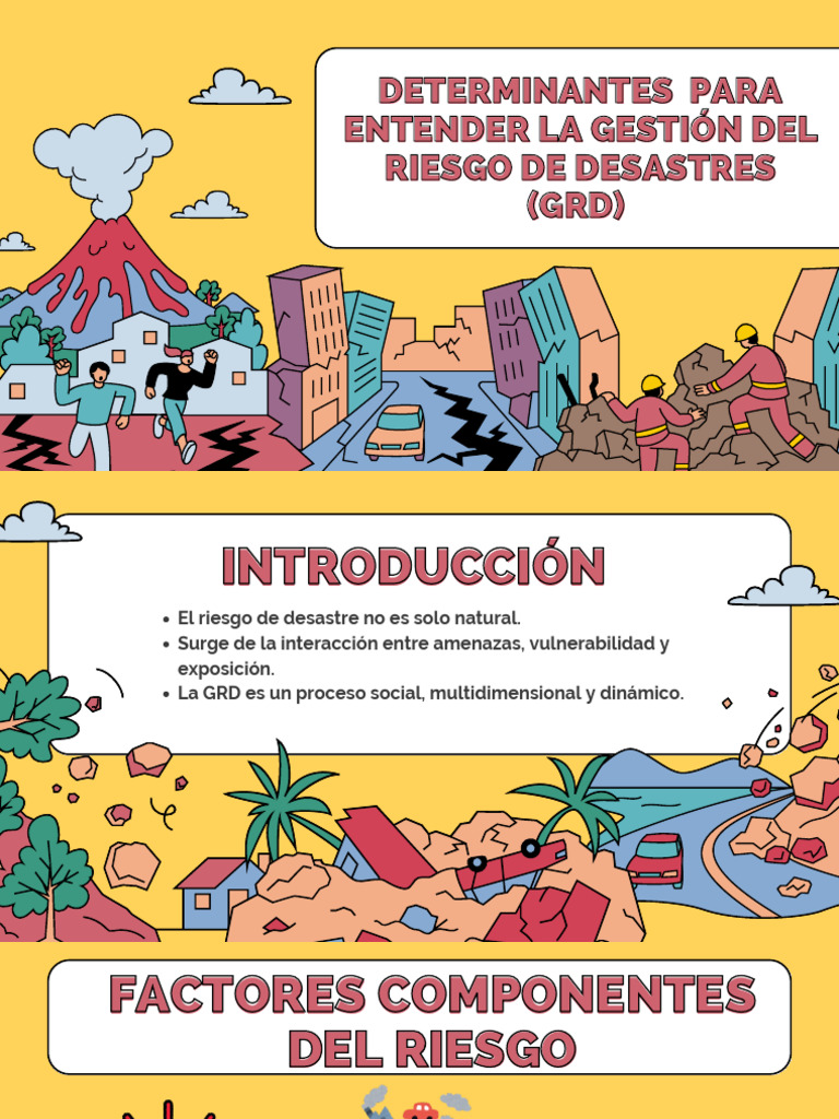 Determinantes para La Gestión de Riesgos de Desastres | PDF
