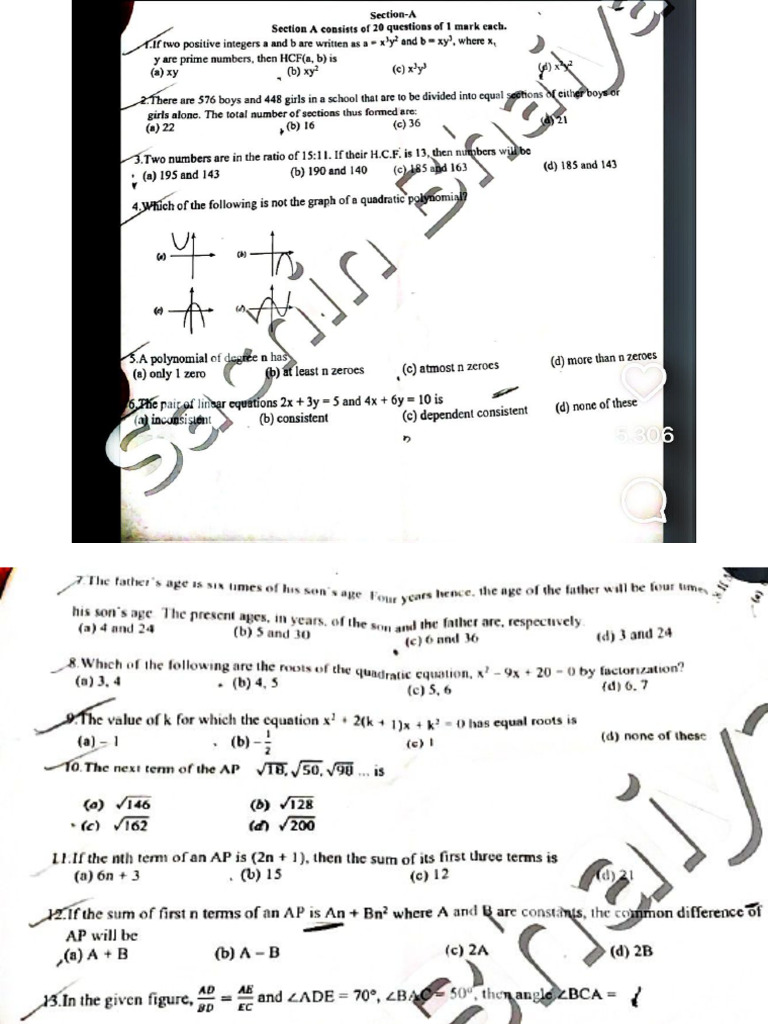 SQP Mid Term MATHS | PDF