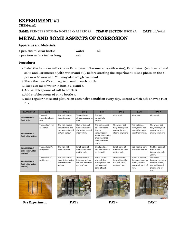Corrosion Factors in Iron Experiment | PDF
