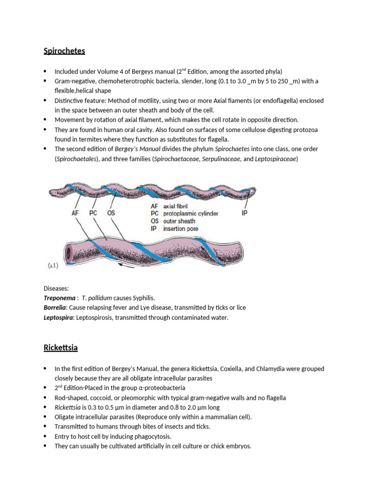Overview of Spirochetes and Related Bacteria | PDF | Bacteria | Archaea