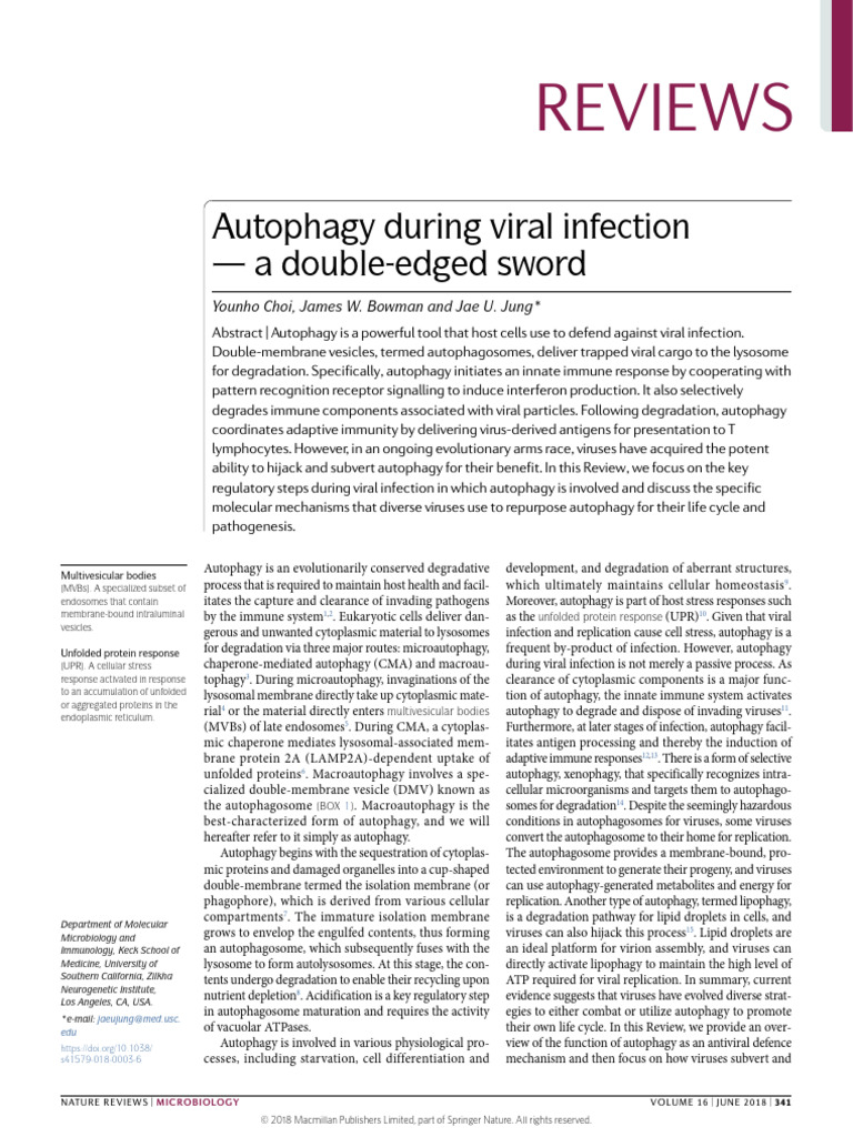 Autophagy During Viral Infection | PDF | Autophagy | Interferon