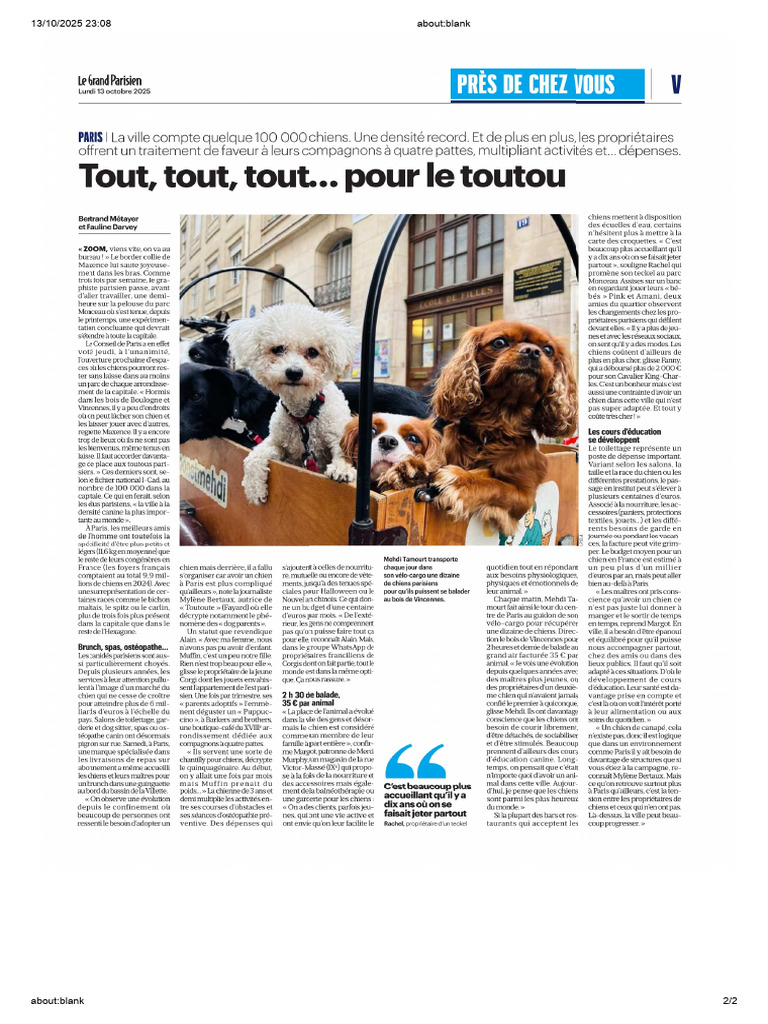 Tout Pour Le Toutou | PDF
