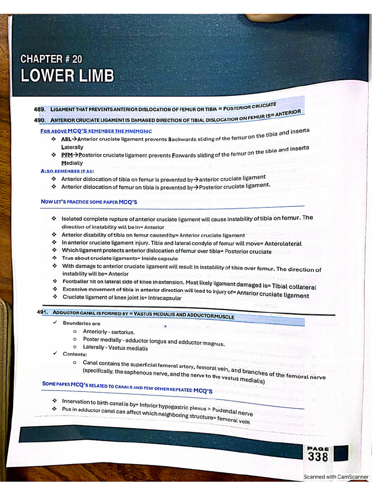 Rafi Lower Limb | PDF