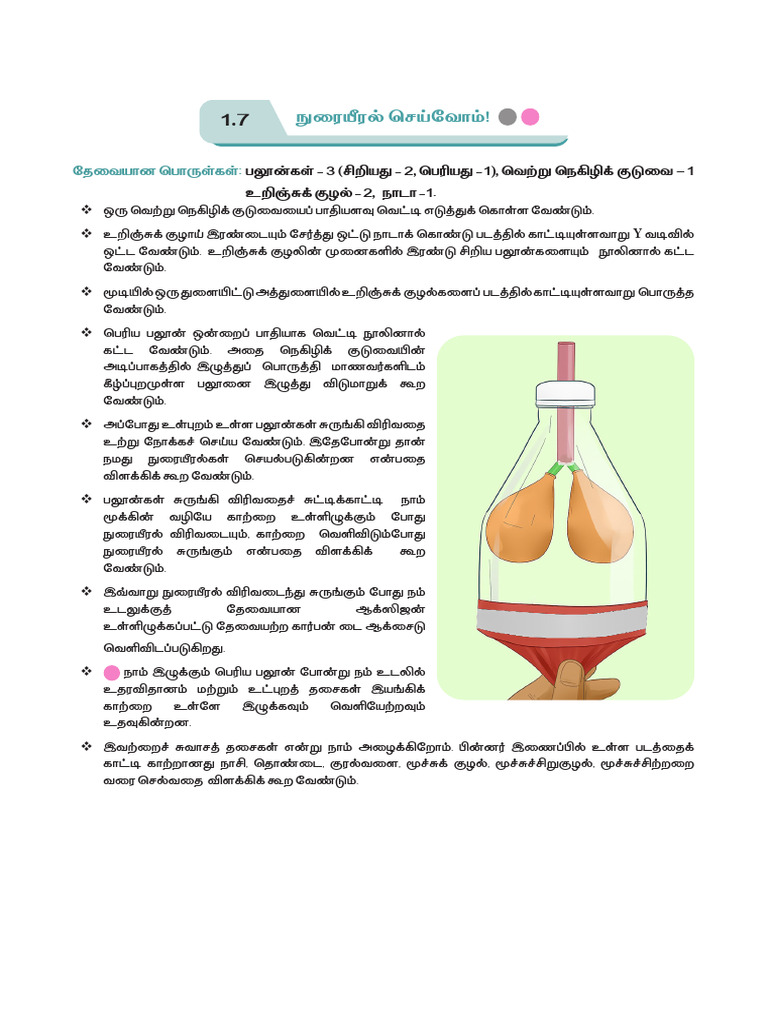 Science Lesson | PDF