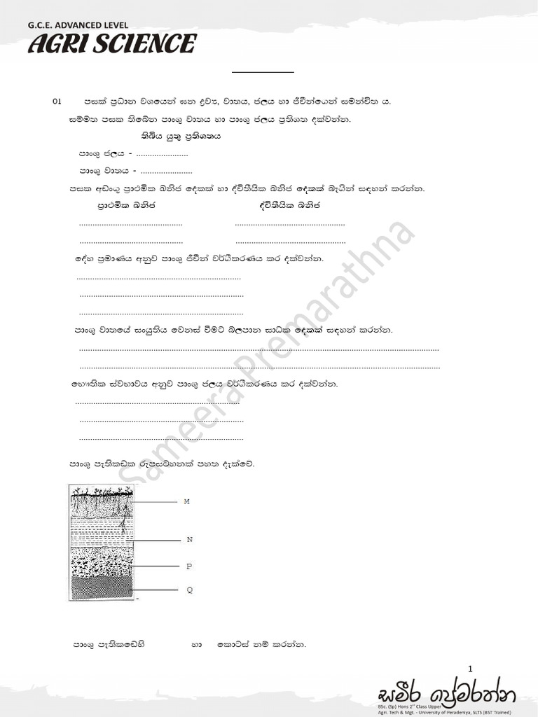 Test Paper 01 | PDF