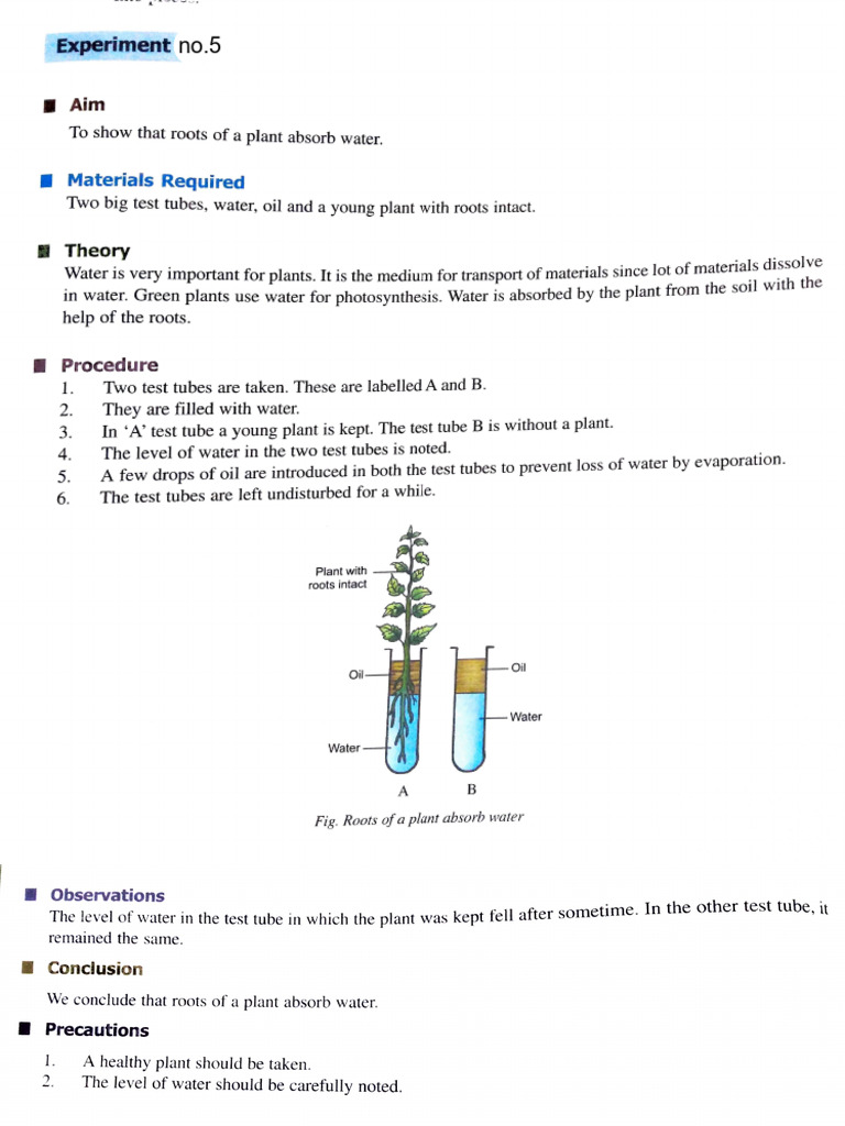 Exp 5 | PDF