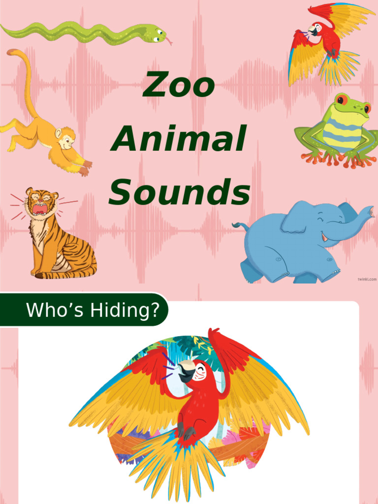 Zoo Animal Sounds | PDF