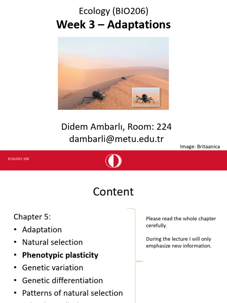 Adaptations and Natural Selection in Ecology | PDF | Natural Selection ...