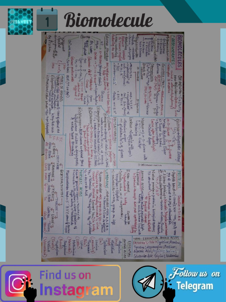 Biomolecules Handwritten Notes | PDF