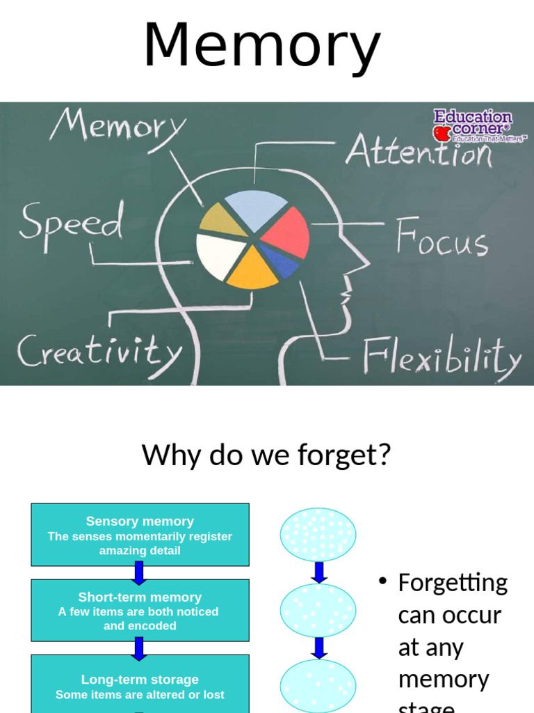 Understanding Memory: Types and Theories | PDF | Recall (Memory) | Memory