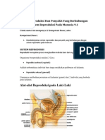 Sistem Reproduksi Dan Penyakit Yang Berhubungan Dengan Sistem Reproduksi Pada Manusia 9