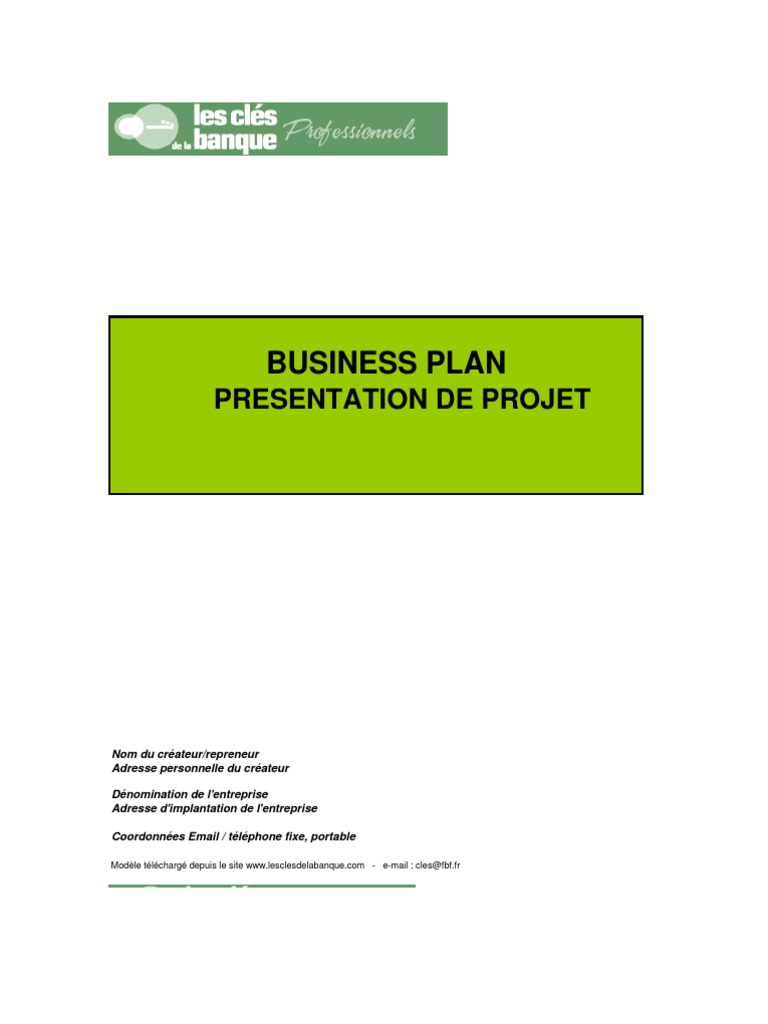 exemple business plan vierge distribution affaires leasing