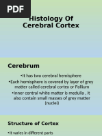 Histology of the Cerebral Cortex | PDF | Cerebellum | Cerebral Cortex
