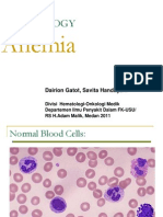 K10 Anemia DefisiensiFE