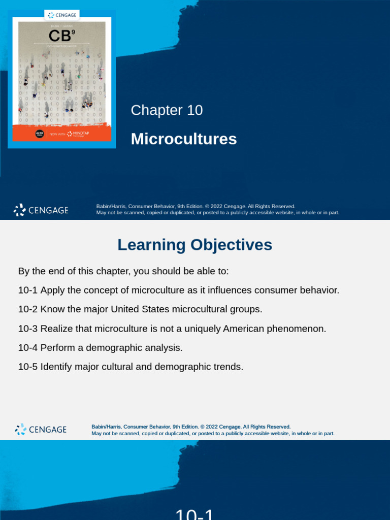 Understanding Microcultures in Consumer Behavior | PDF | Consumer ...