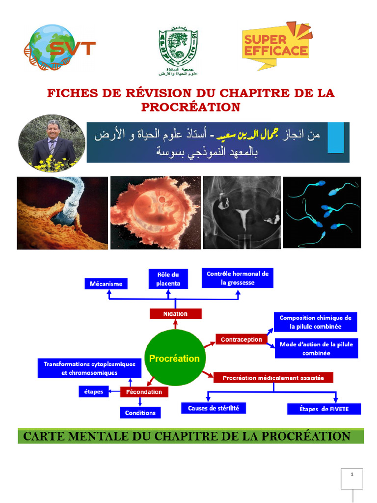 Révision sur la Procréation et Fécondation | PDF | Progestérone ...