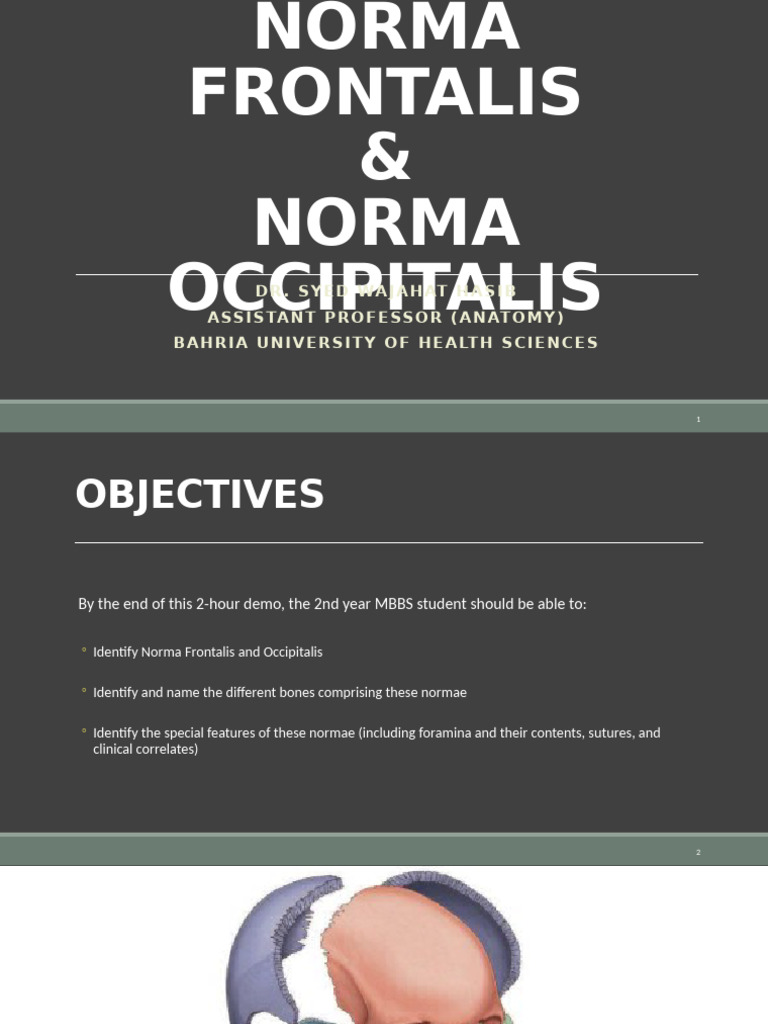 Frontalis and Occipitalis Anatomy Guide | PDF