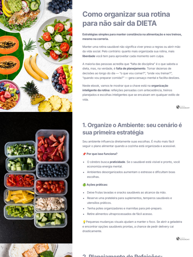 Organize sua Rotina para a Dieta | PDF