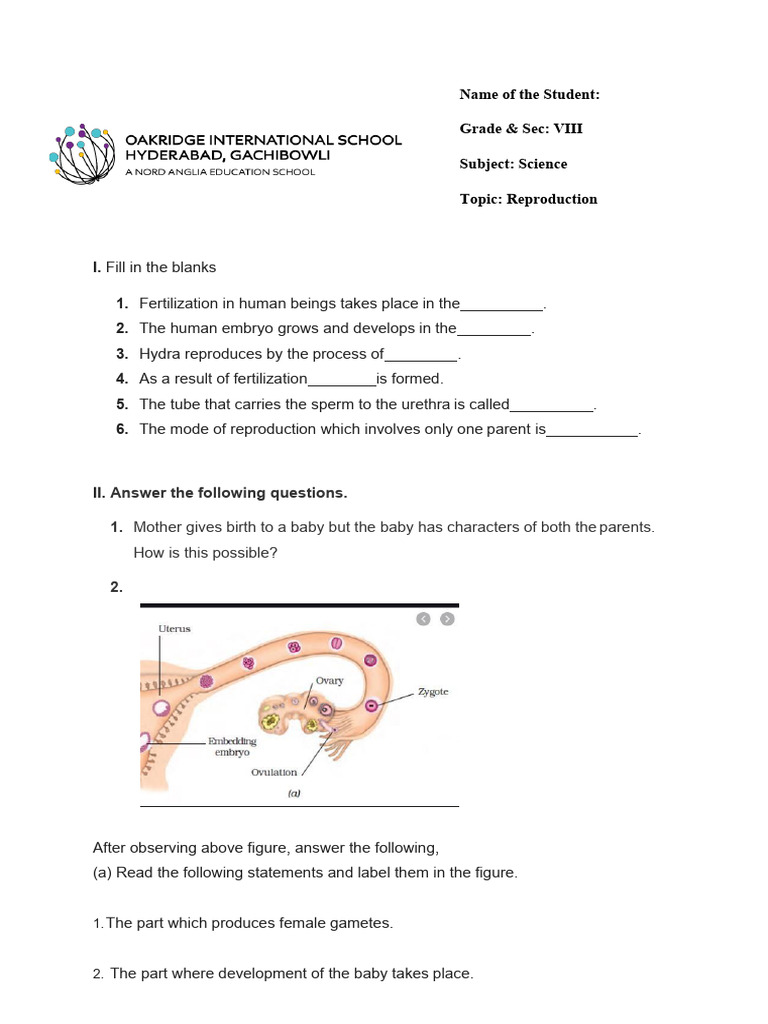 Reproduction Revision Worksheet | PDF