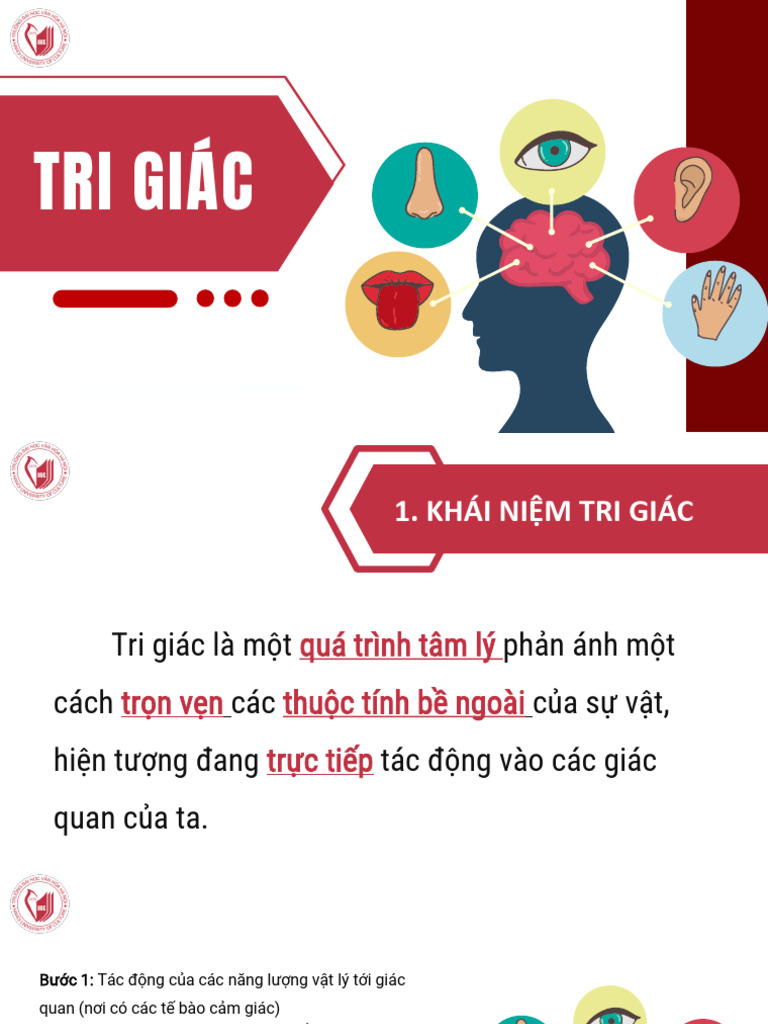 Chương 2 - Tri Giác | PDF