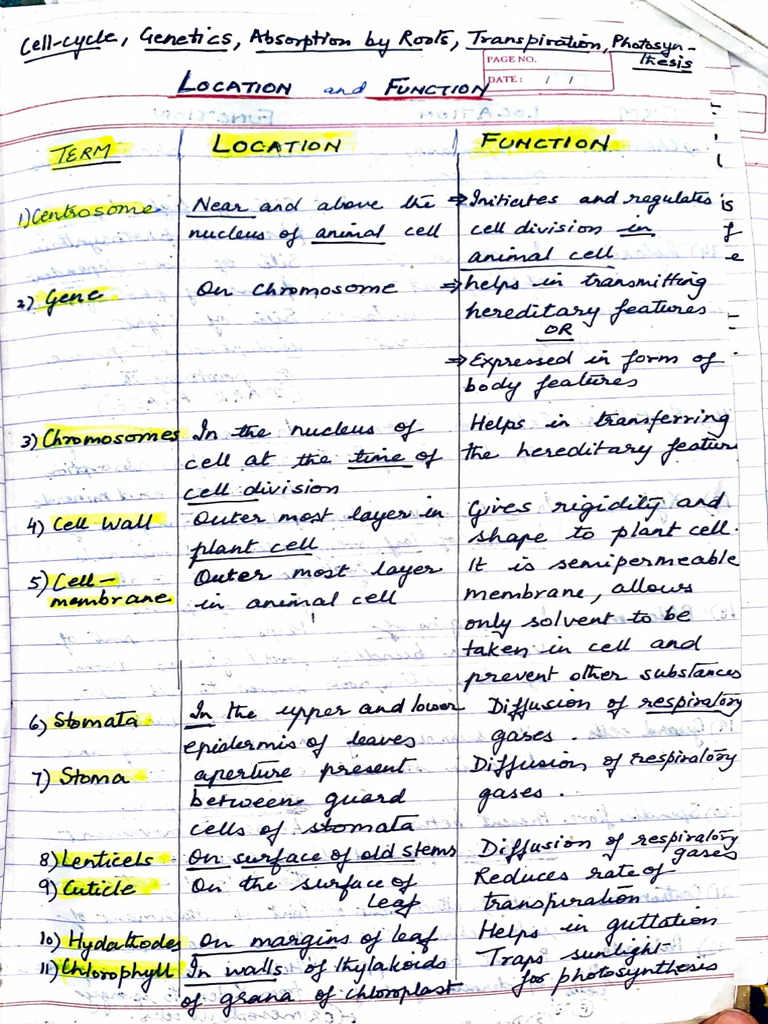 Location Function | PDF