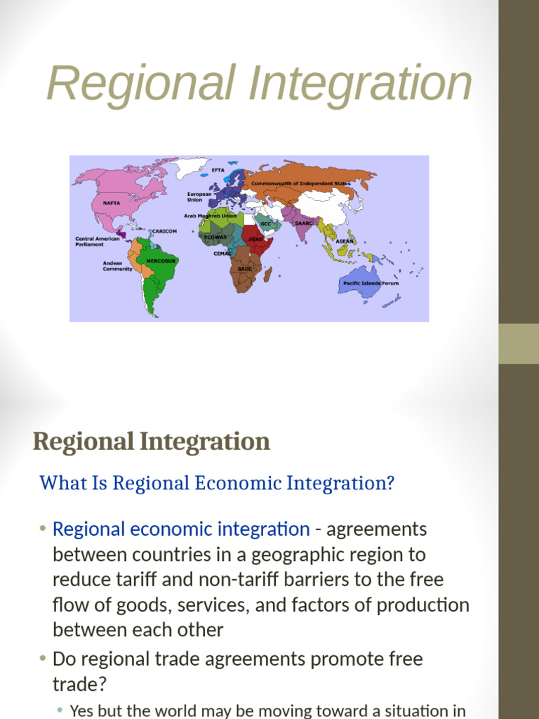 Understanding Regional Economic Integration | PDF | Andean Community ...