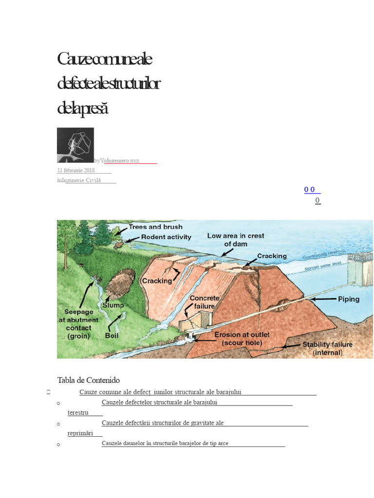 Defectele Structurilor Barajului | PDF