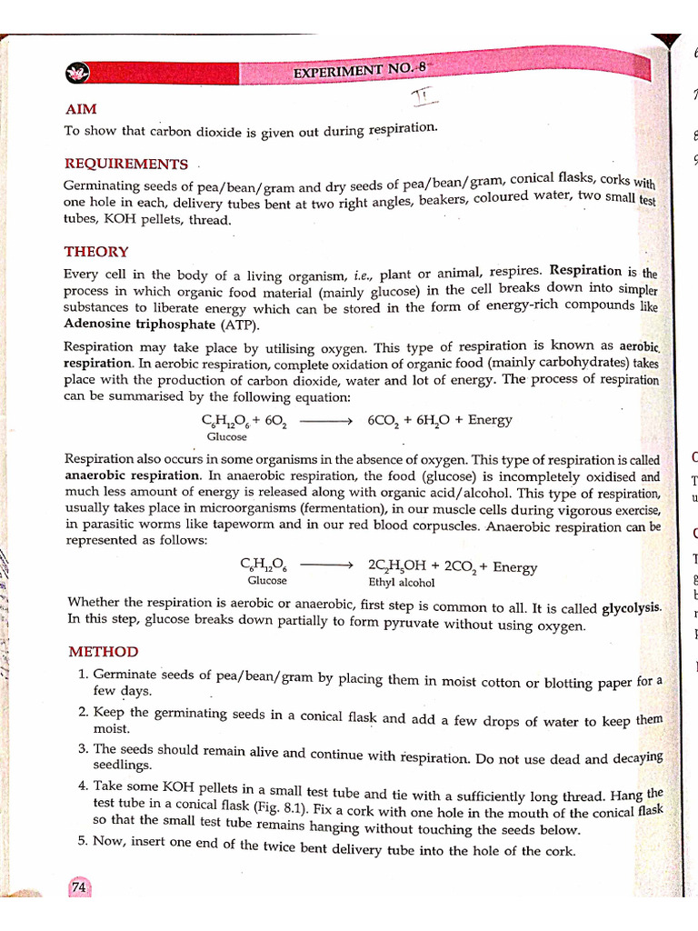 Bio Practical X | PDF