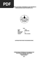 Download Pen Gen Alan Hewan Avertebrata Dan Vertebrata Berdasarkan Karakter Morfologi by Ardian SN94290277 doc pdf