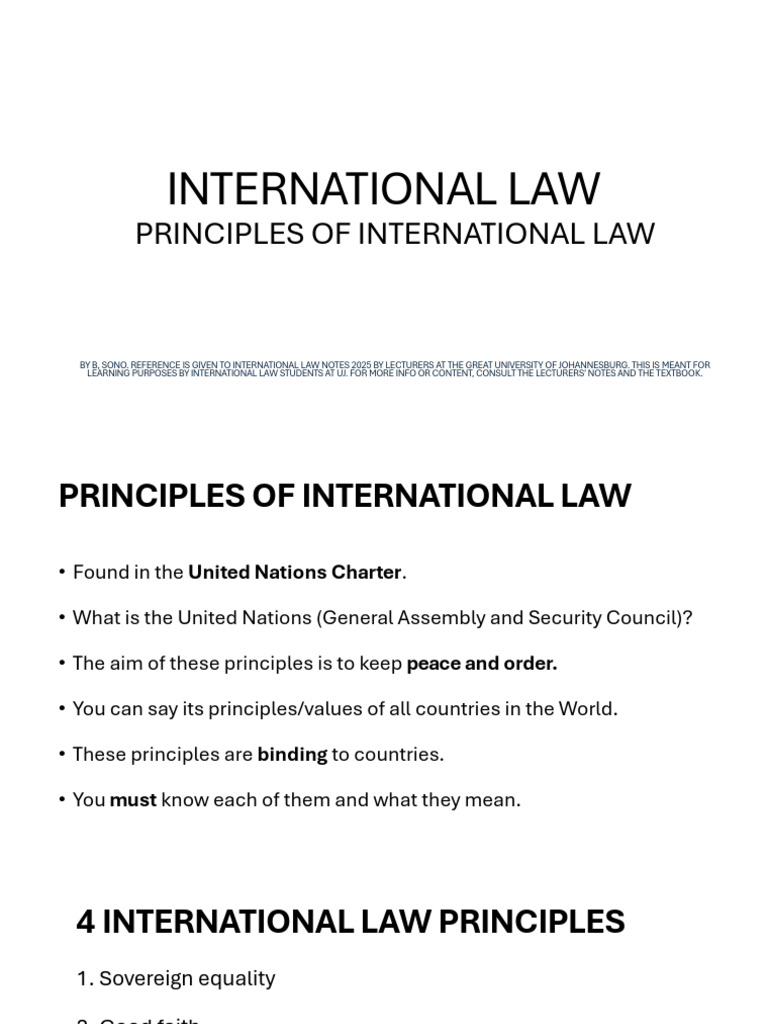 Principles of International Law Explained | PDF | International Law ...