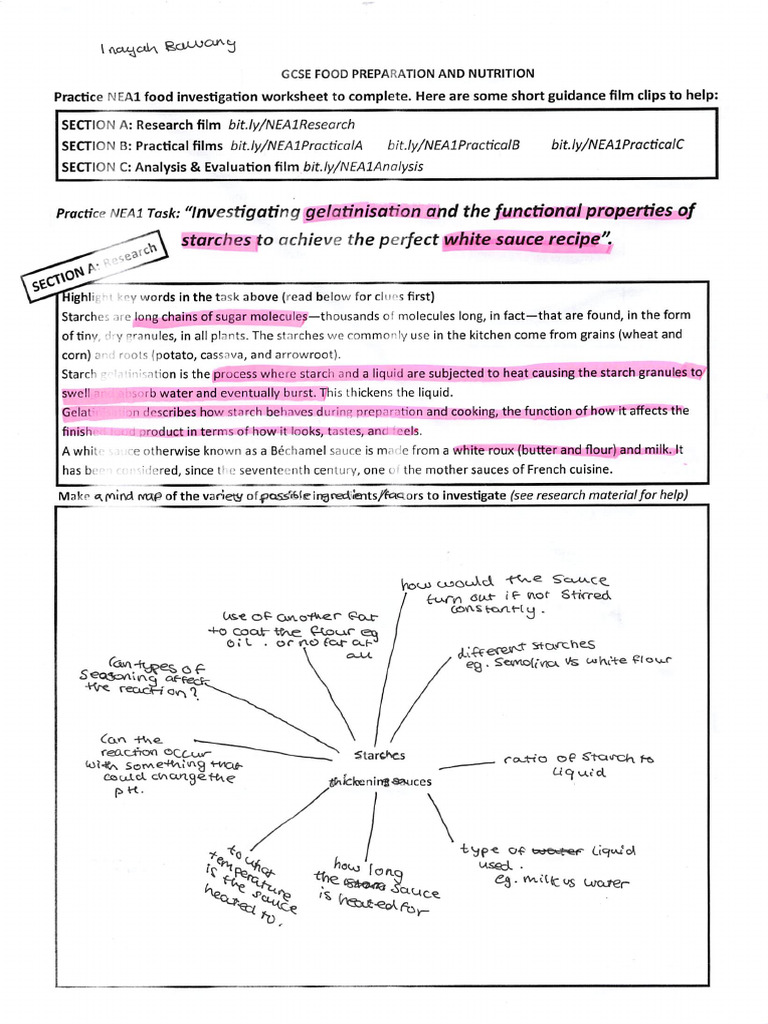Nea 1 Practice HW Scan | PDF