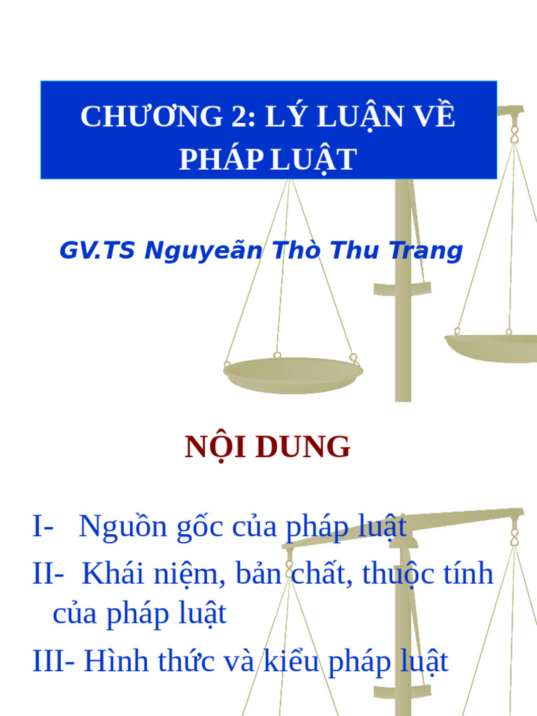 pháp luật đại cương | PDF