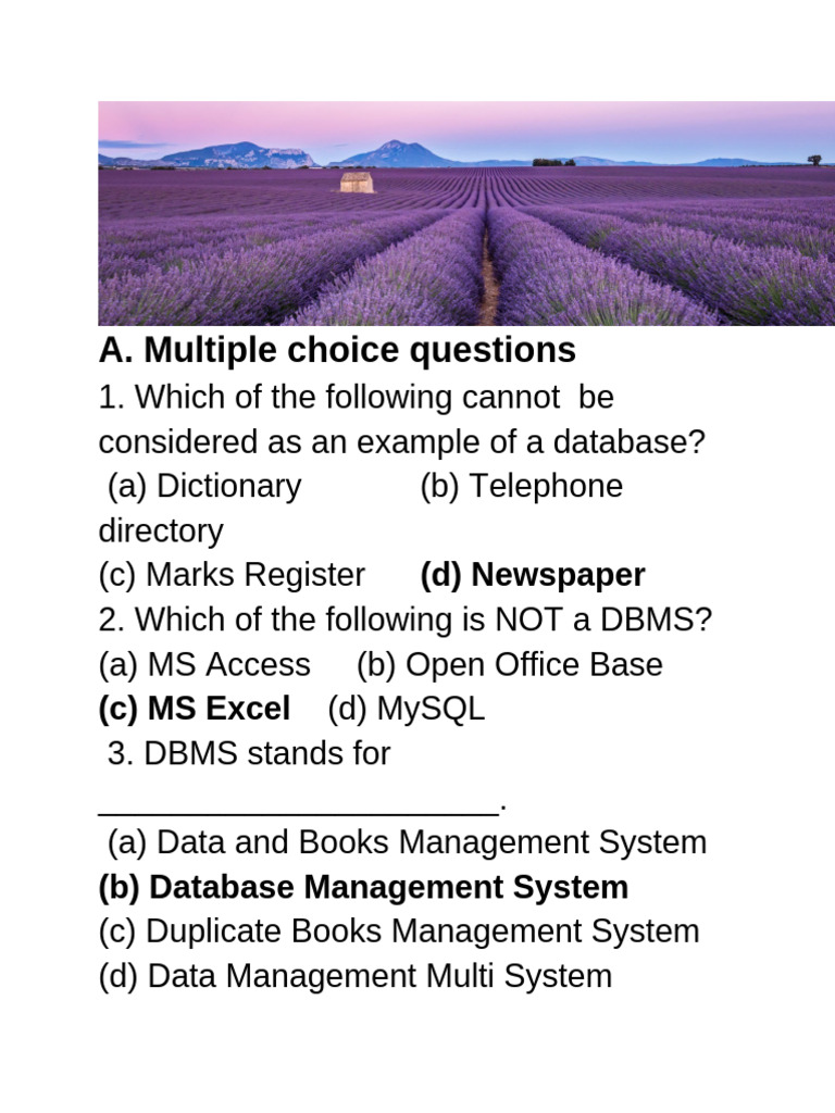 Database Management System Quiz | PDF | Databases | Relational Database