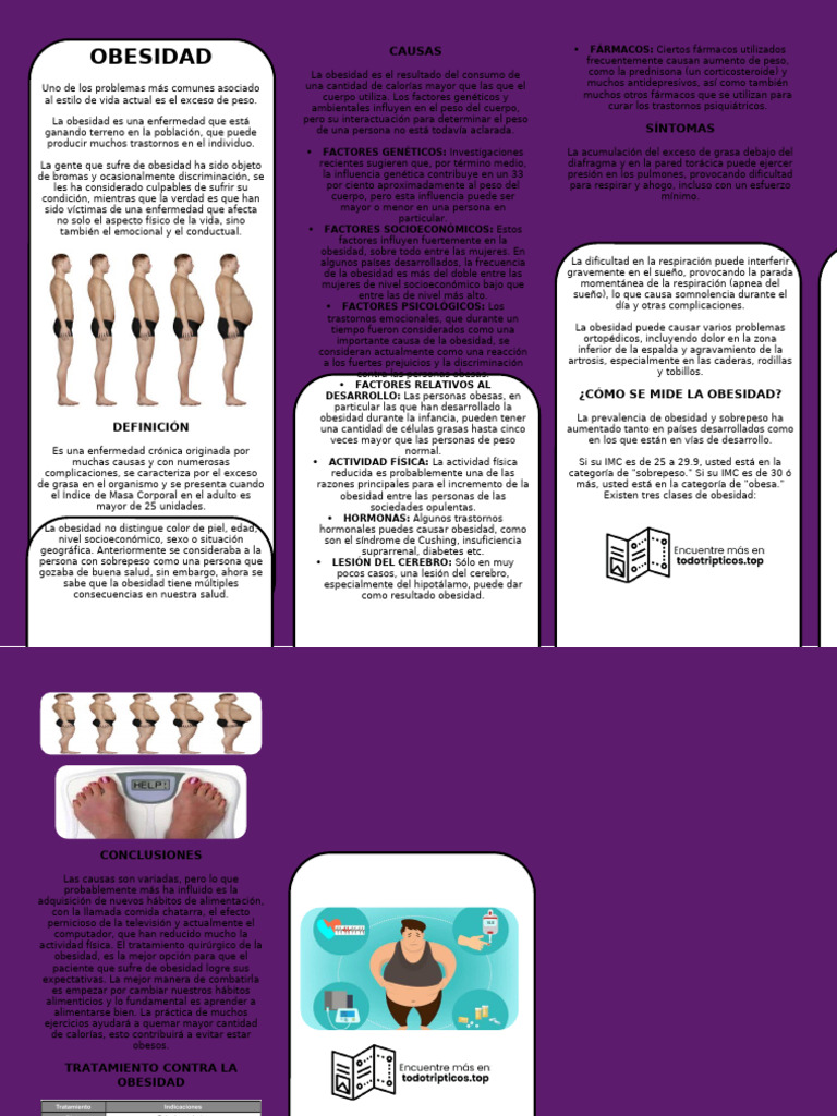 Causas y Tratamientos de la Obesidad | PDF | Obesidad | Índice de masa ...
