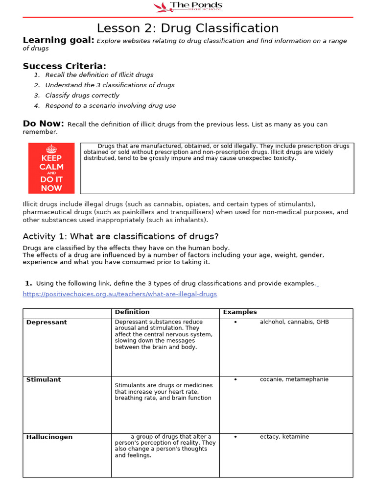 Understanding Drug Classifications | PDF | Drugs | Recreational Drug Use