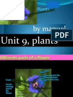 By Manuel: Unit 9, Plants