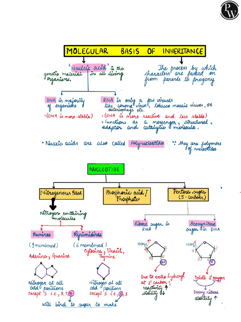 68ee3e300d9682d9e98734f7 - ## - Molecular Basis of Inheritance ...