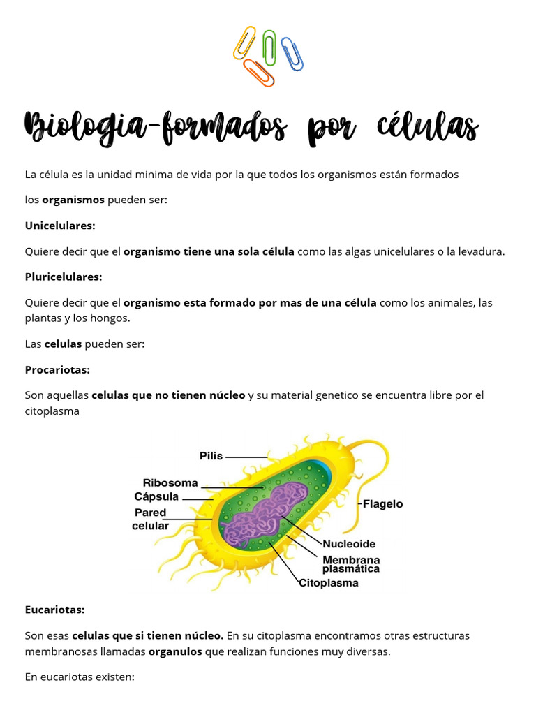 Tipos de Células y Estructuras Celulares | PDF | Biología Celular ...