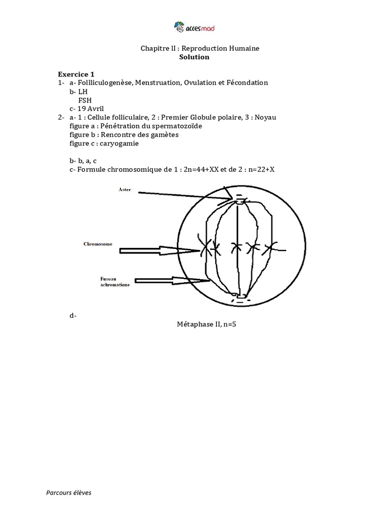 Reproduction humaine : processus et hormones | PDF | Reproduction ...