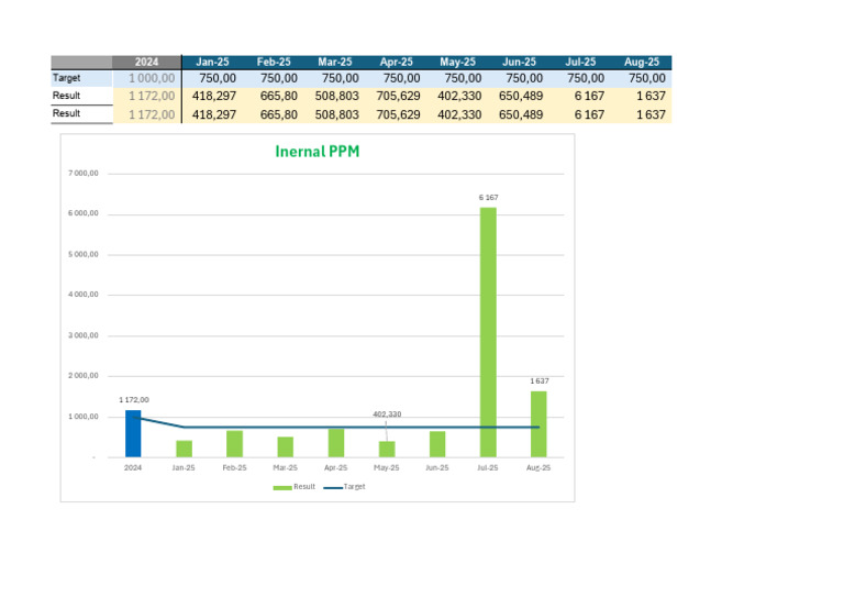 2024 Monthly Performance Metrics | PDF