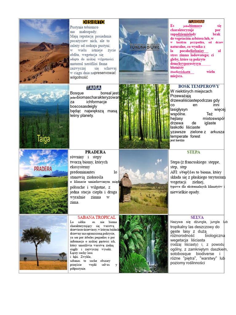 BIOMY | PDF