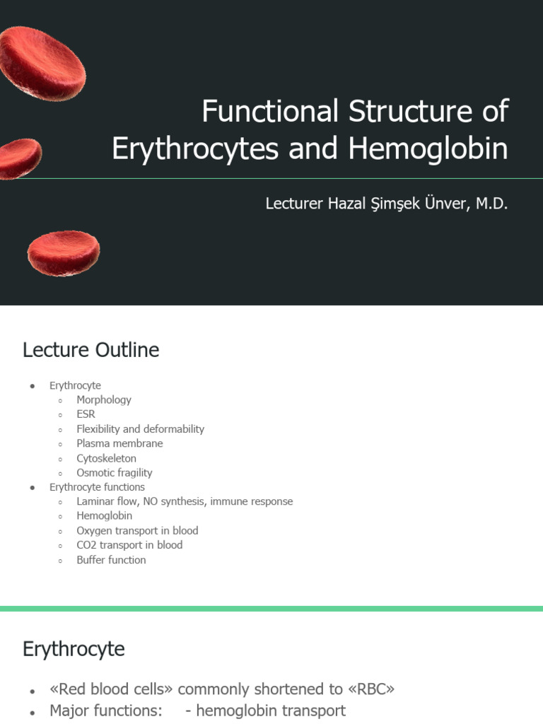1 - Functional Structure of Erythrocytes and Hemoglobin - Not | PDF ...