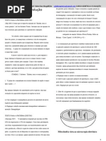 Questões extras de Genetica e Evolução 6