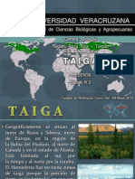 Taiga