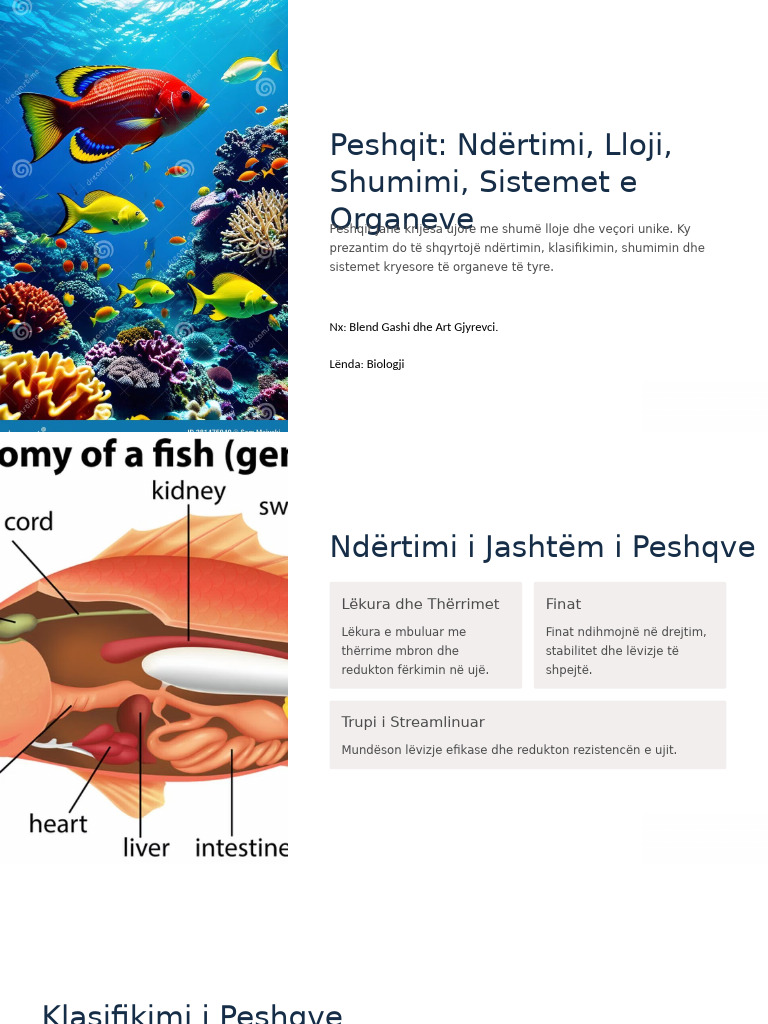 Peshqit Ndertimi Lloji Shumimi Sistemet e Organeve | PDF