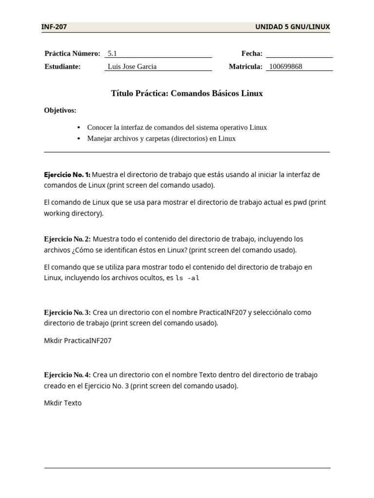 Comandos Básicos de Linux en Práctica | PDF
