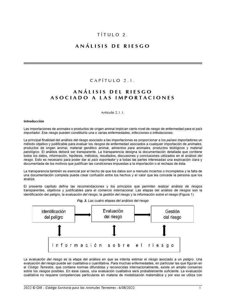 Chapitre Import Risk Analysis | PDF | Riesgo | Información